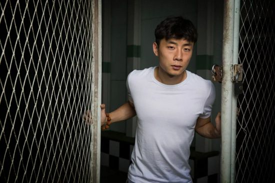 粉红色的火烈鸟免费观看