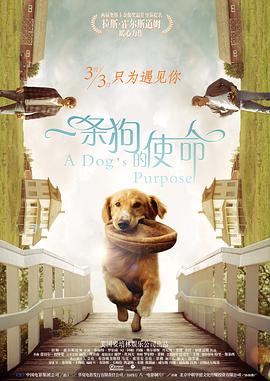 S极端阶级2020