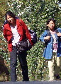 国产不卡视频一区二区在线观看