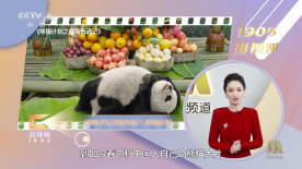 多p混交群体交乱文